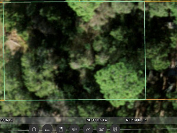 NE 130 LANE , SALT SPRINGS, FL 32134