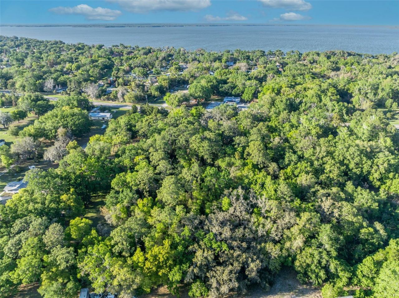 Tbd County Road 48 , Yalaha, FL 34797 Photo