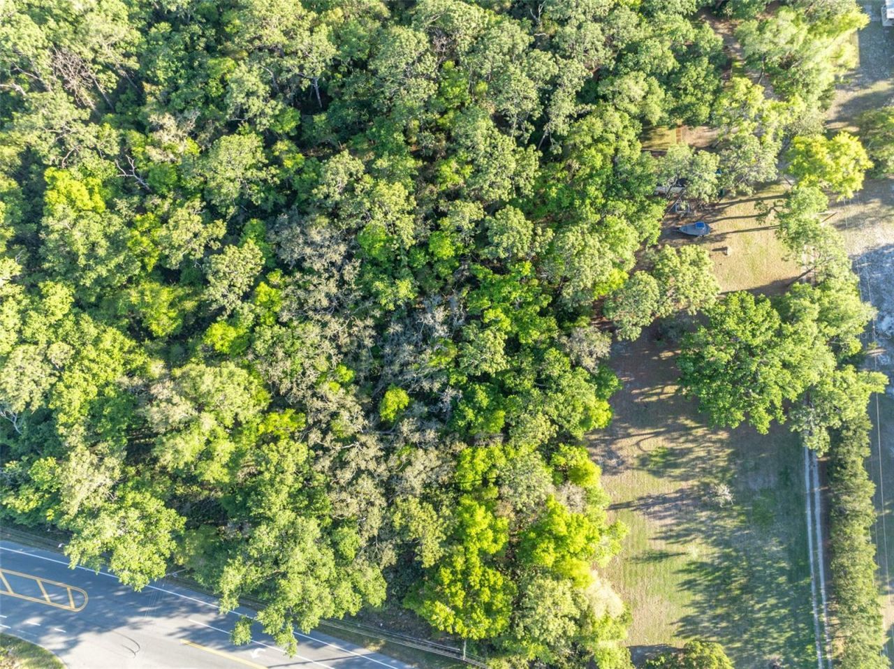 Tbd County Road 48 , Yalaha, FL 34797 Photo