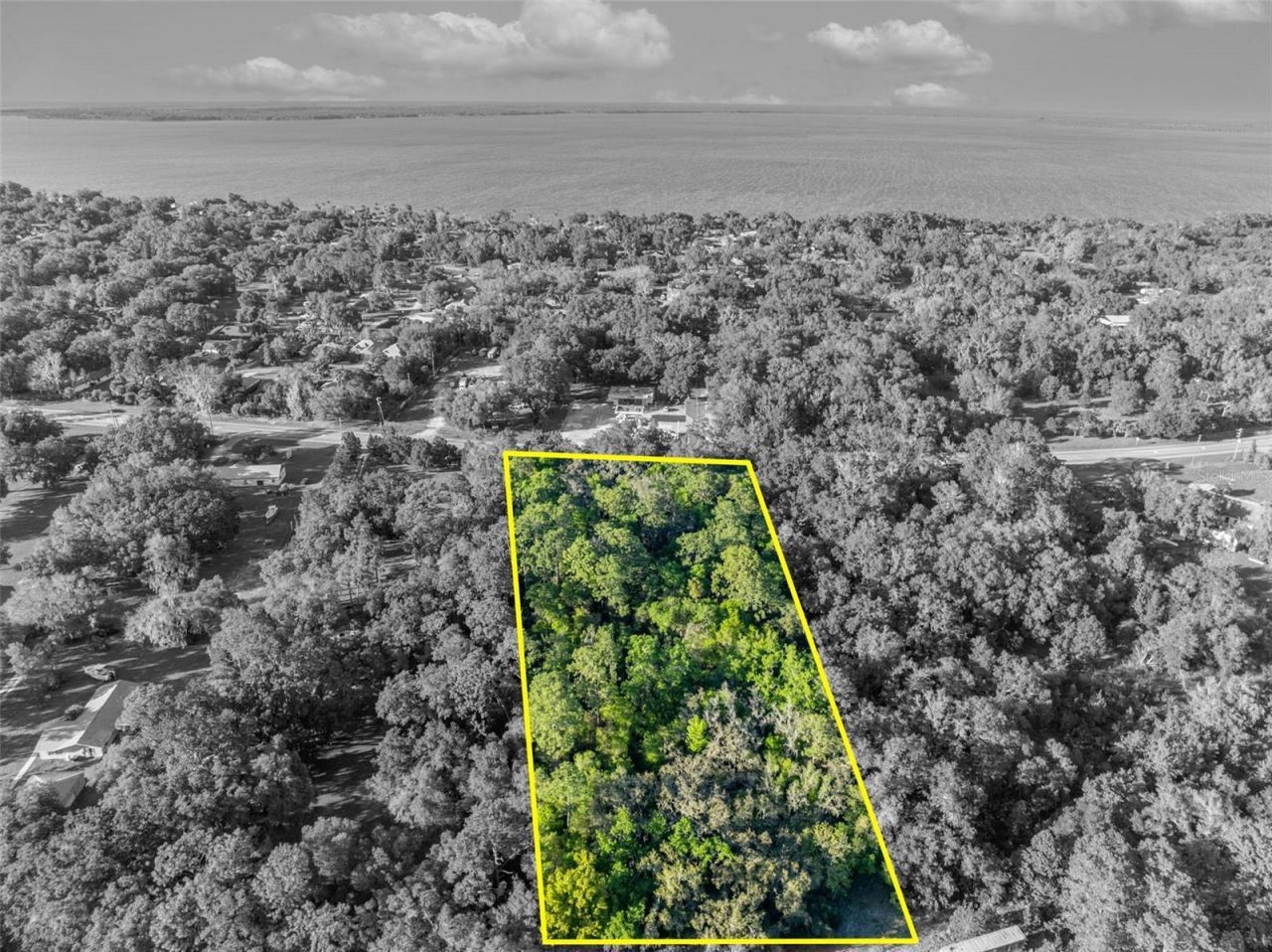 Tbd County Road 48 , Yalaha, FL 34797 Photo