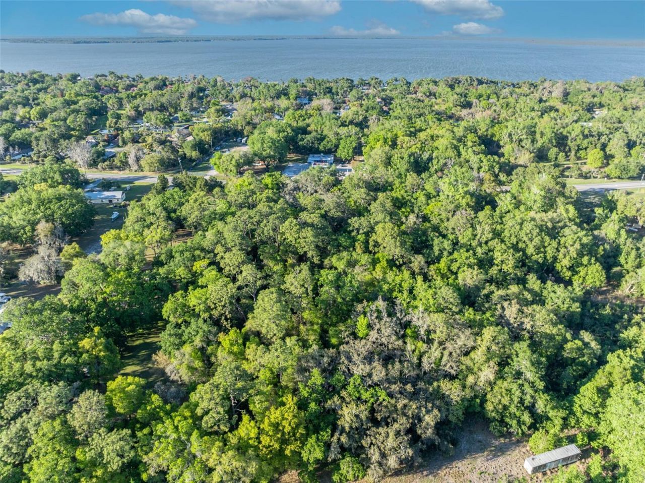 Tbd County Road 48 , Yalaha, FL 34797 Photo