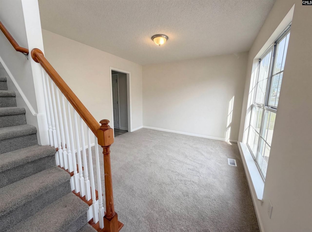 217 Branchview Drive Photo 12