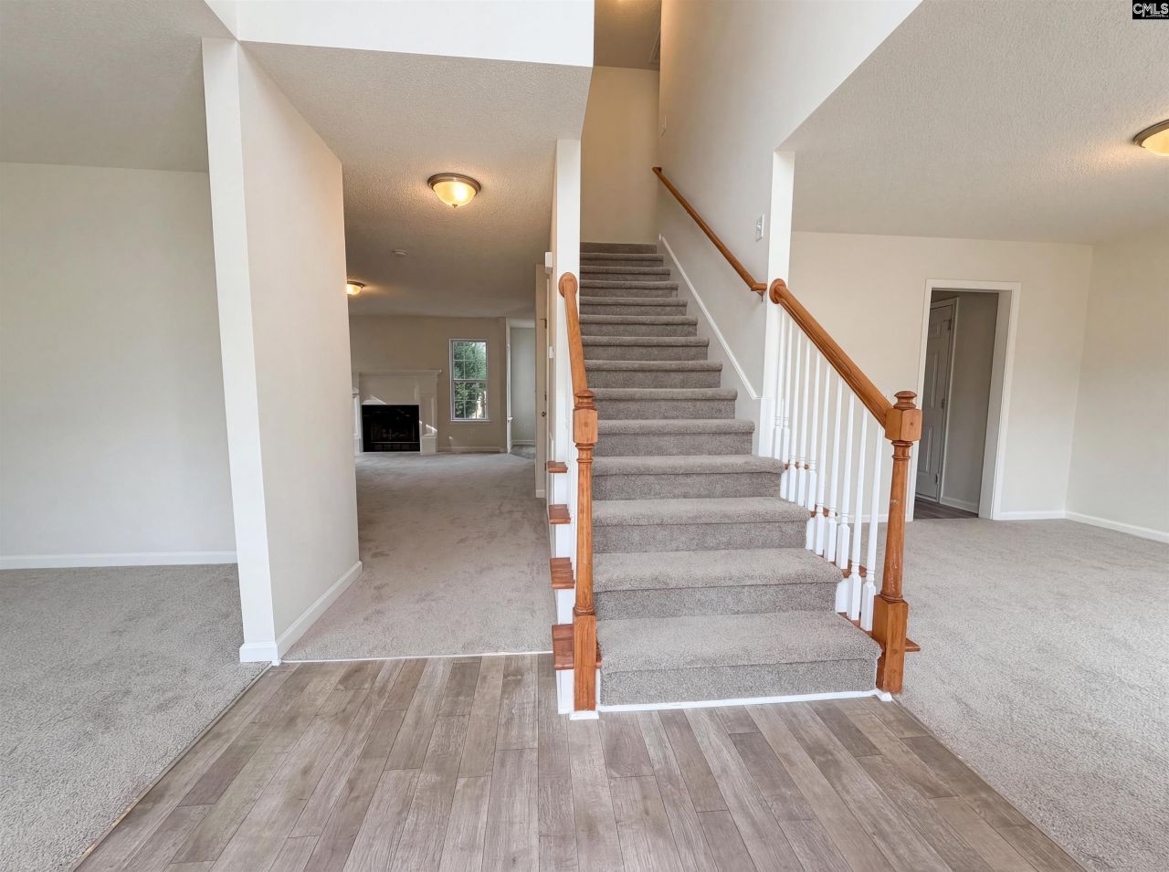 217 Branchview Drive Photo 13