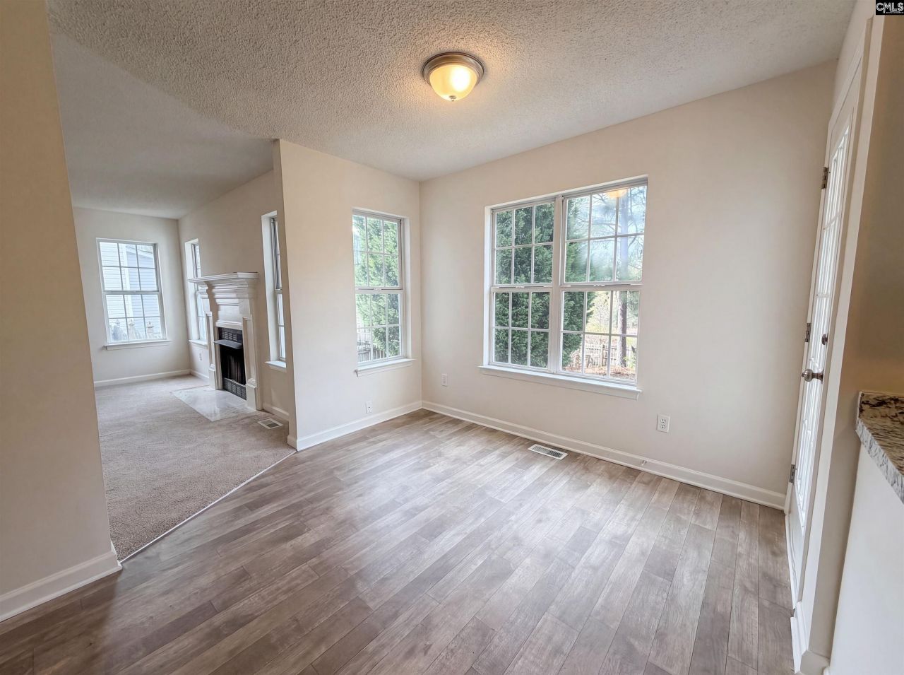 217 Branchview Drive Photo 15