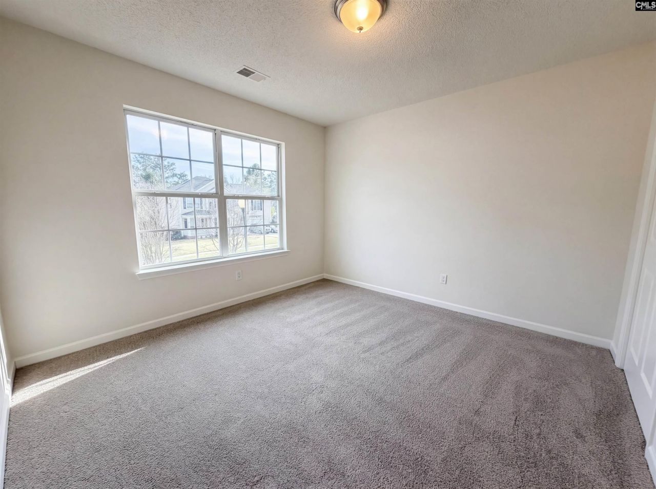 217 Branchview Drive Photo 16