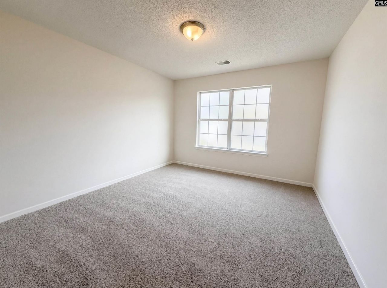 217 Branchview Drive Photo 18