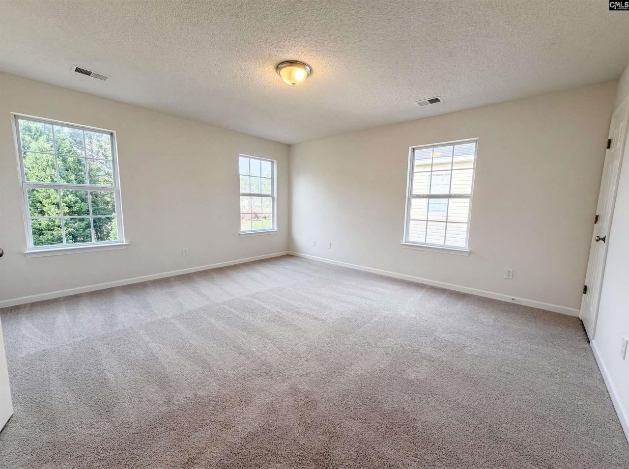 217 Branchview Drive Photo 19