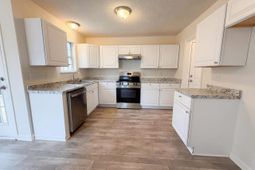 217 Branchview Drive photo 4