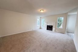 217 Branchview Drive photo 4