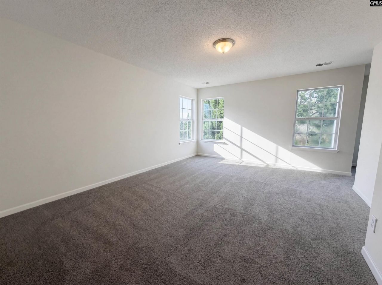 217 Branchview Drive Photo 4