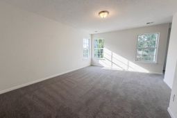 217 Branchview Drive photo 4