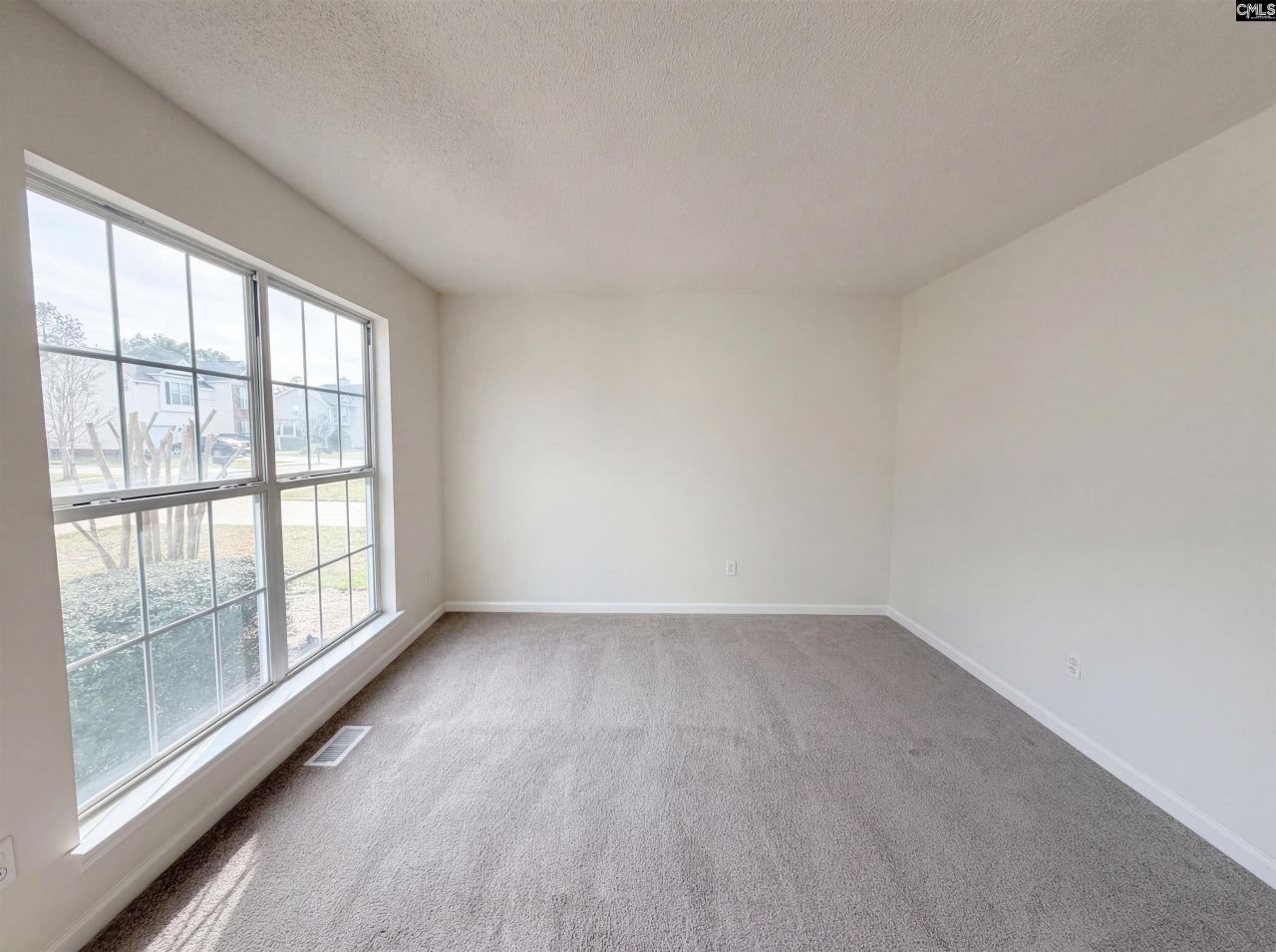 217 Branchview Drive Photo 6