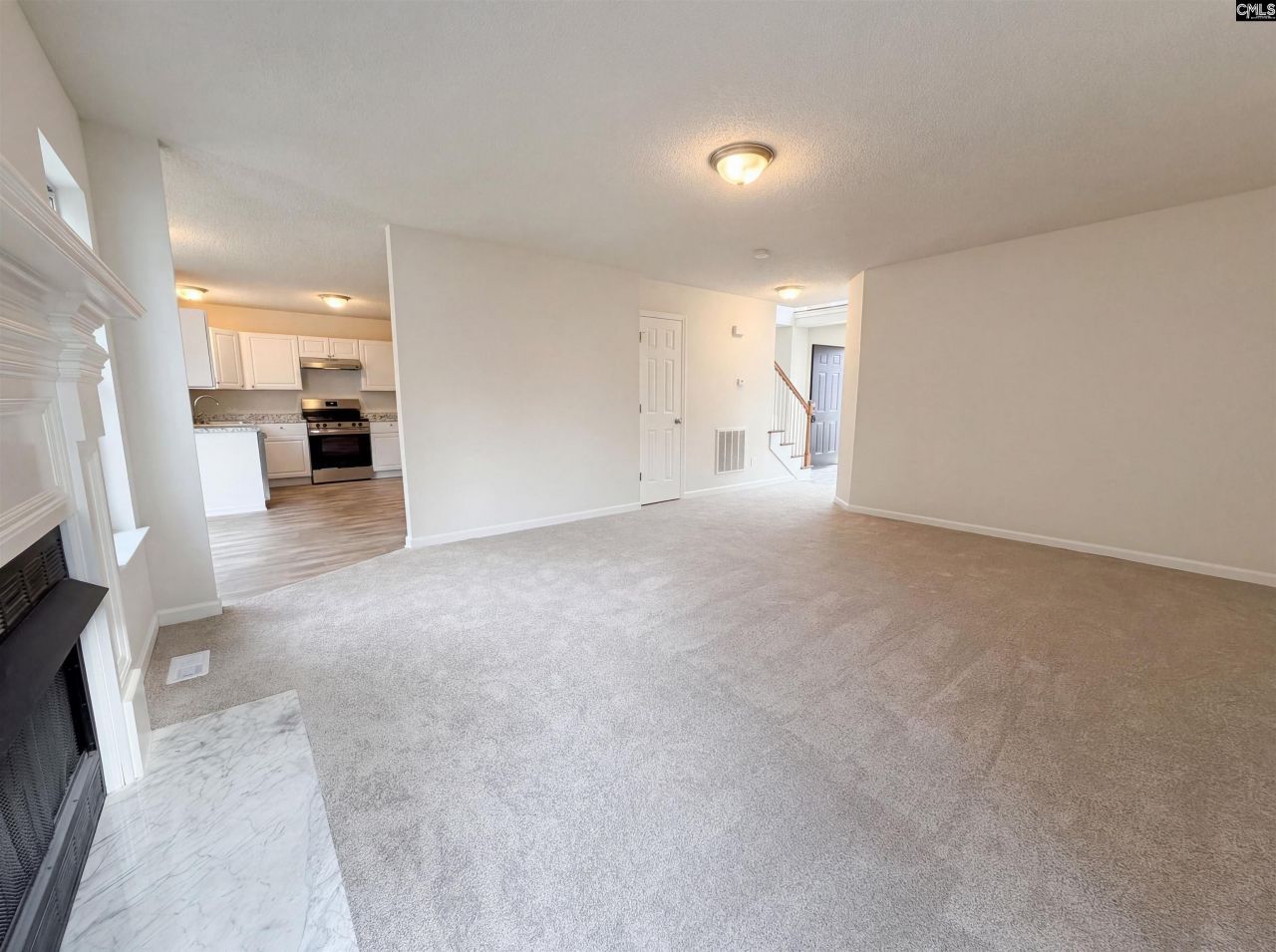 217 Branchview Drive Photo 7