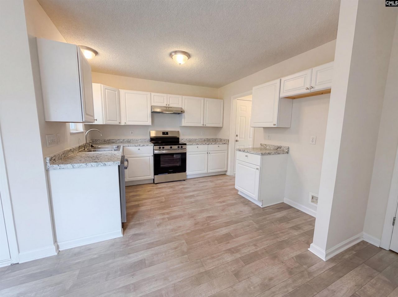 217 Branchview Drive Photo 8