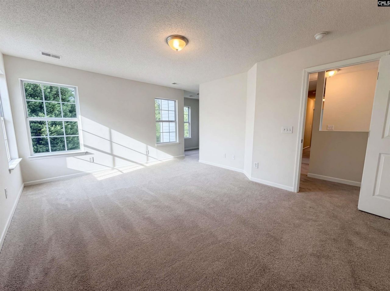 217 Branchview Drive Photo 9