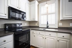 151 Long Iron Court photo 4