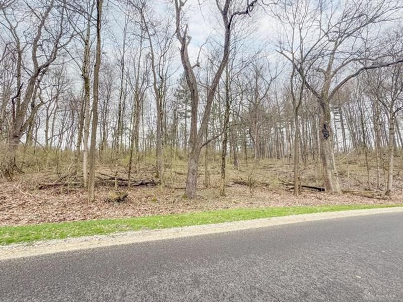 --- Childrens Home Road, Sidney, OH 45365 Photo 8