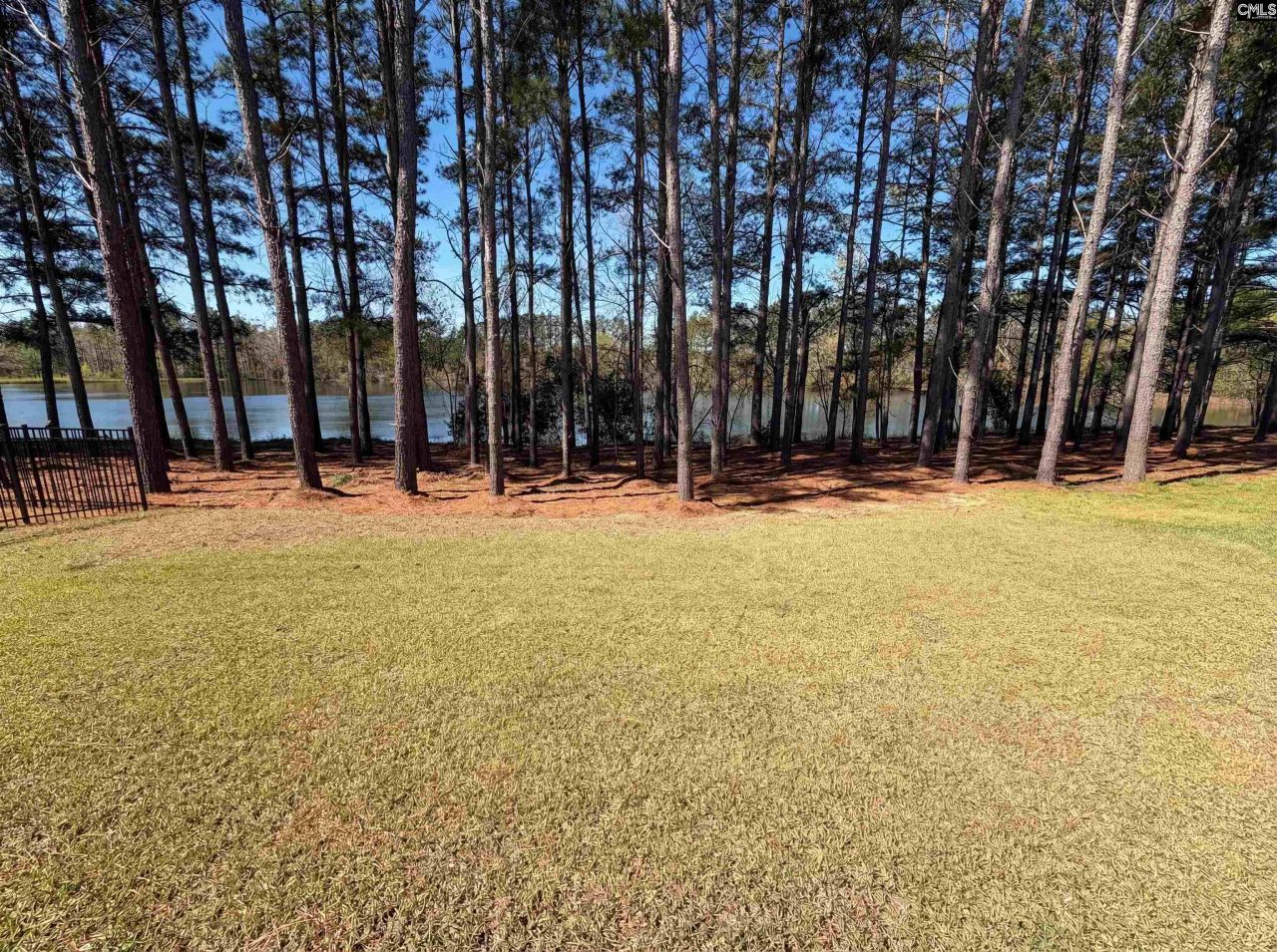 360 Autumn Pond Drive Photo 25