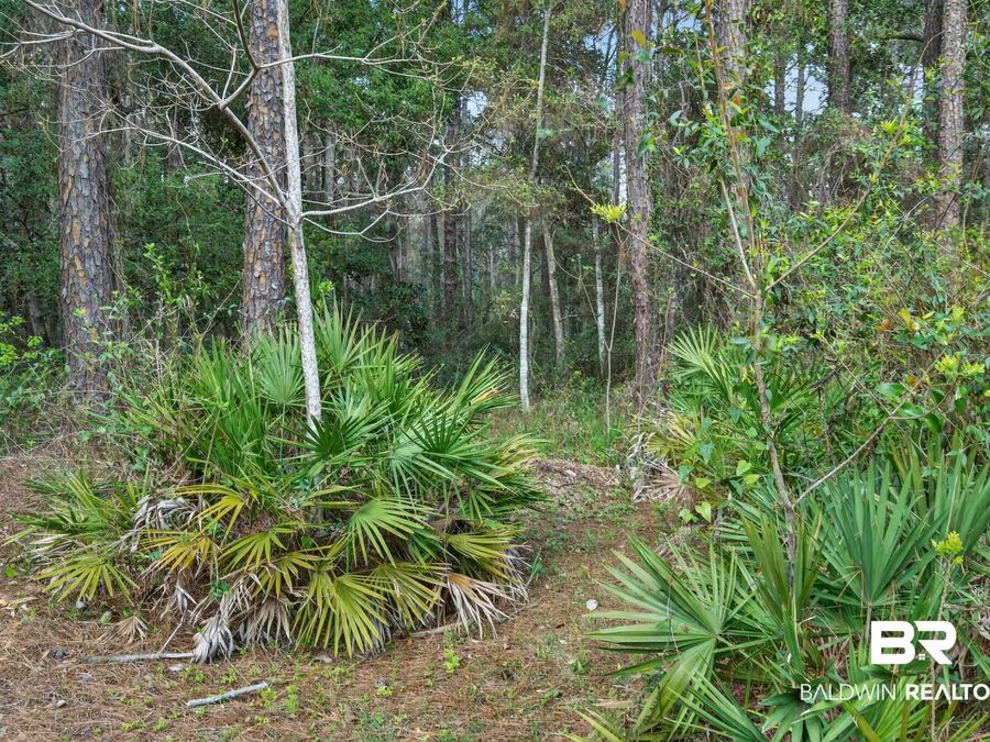 Property Image 61
