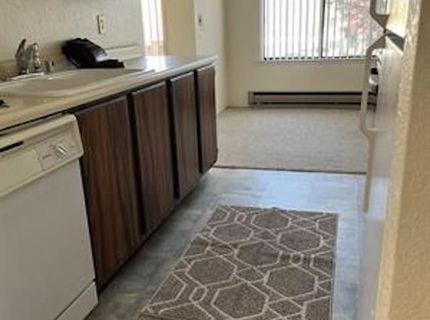 3865 E Leonesio Drive, Unit APT B2, Reno, NV 89512 Photo