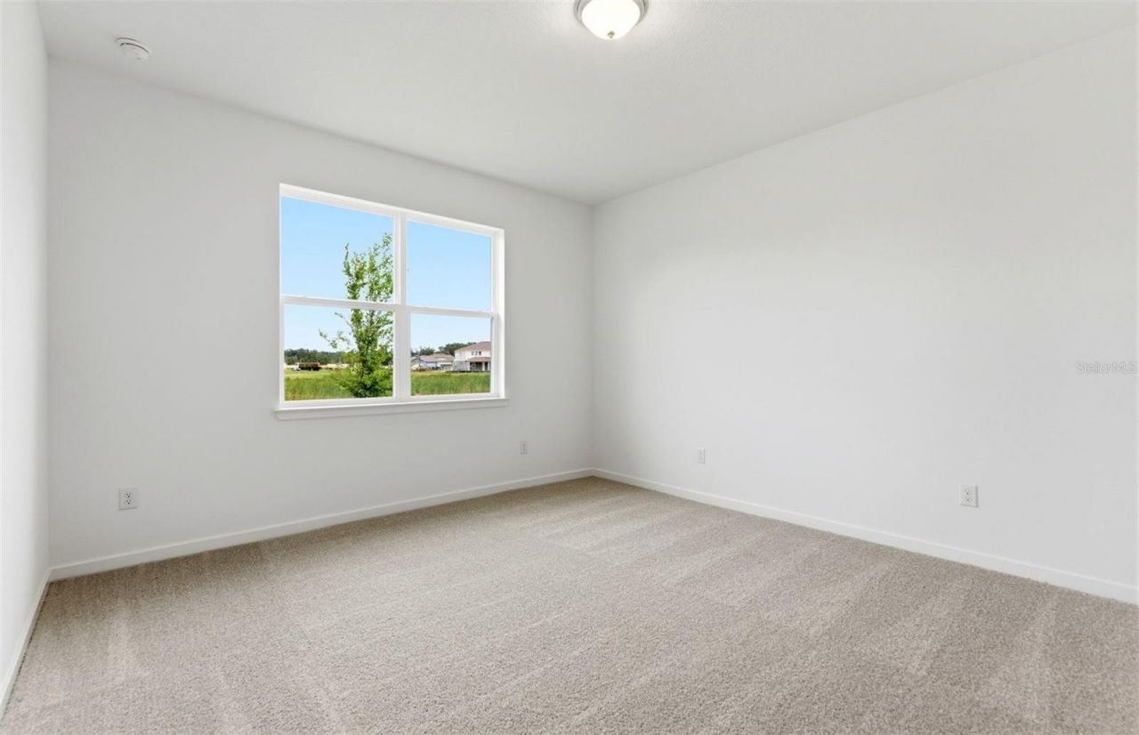 37821 Clinch Circle, Zephyrhills, FL 33540 Photo