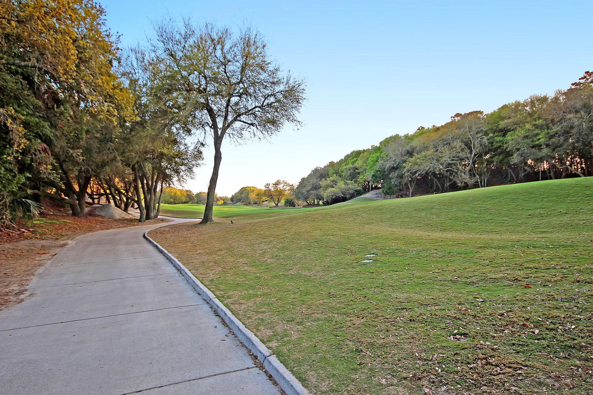 21 Morgans Cove Drive Photo 83