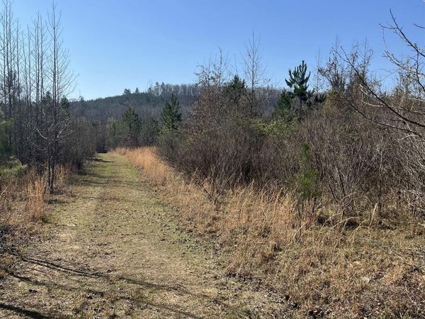 xx JOHN ASHLEY, Murfreesboro, AR 71958