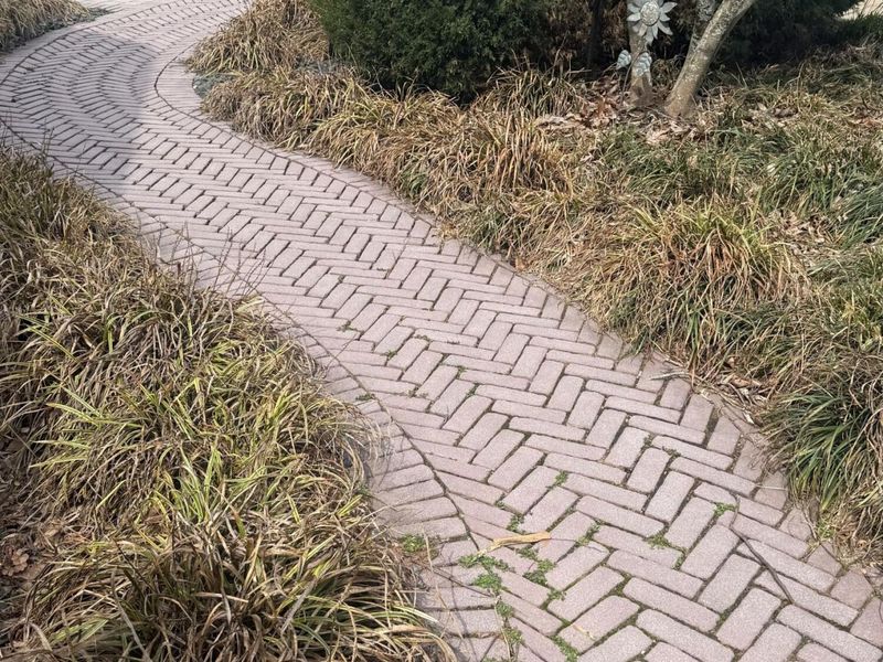 5394 Belleview Road, Petersburg, KY 41080 Photo 29