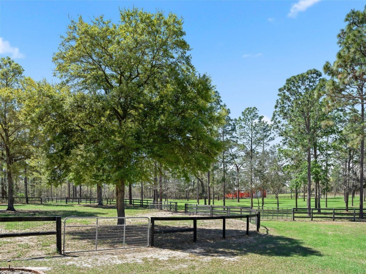 11370 SE 12th Lane, Morriston, FL 32668 Photo