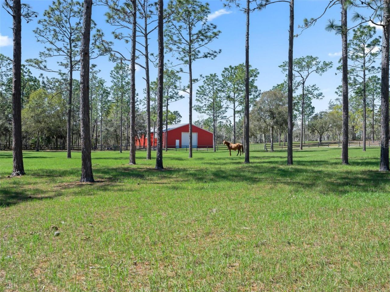 11370 SE 12th Lane, Morriston, FL 32668 Photo