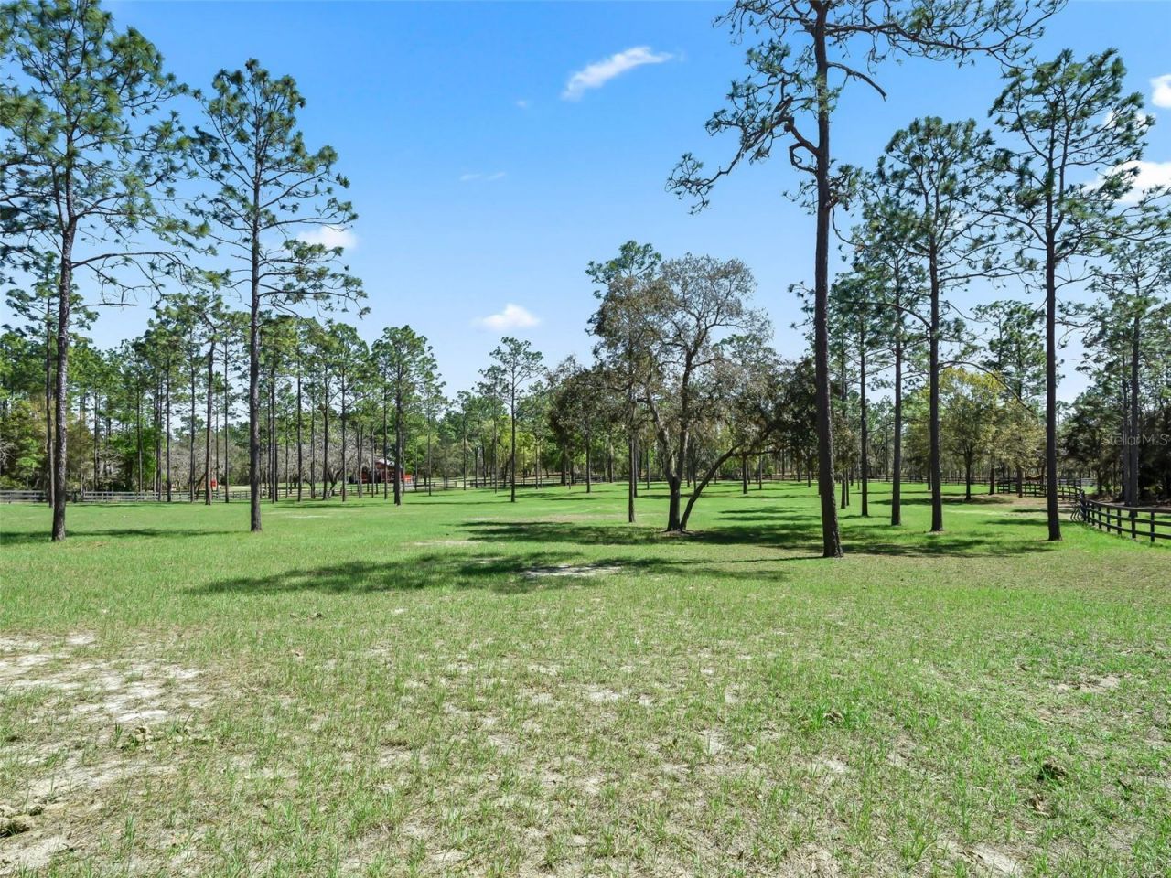 11370 SE 12th Lane, Morriston, FL 32668 Photo