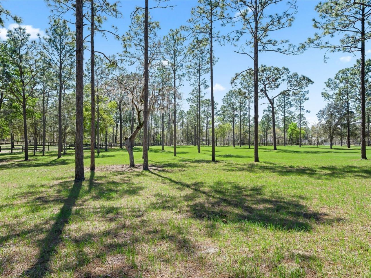 11370 SE 12th Lane, Morriston, FL 32668 Photo