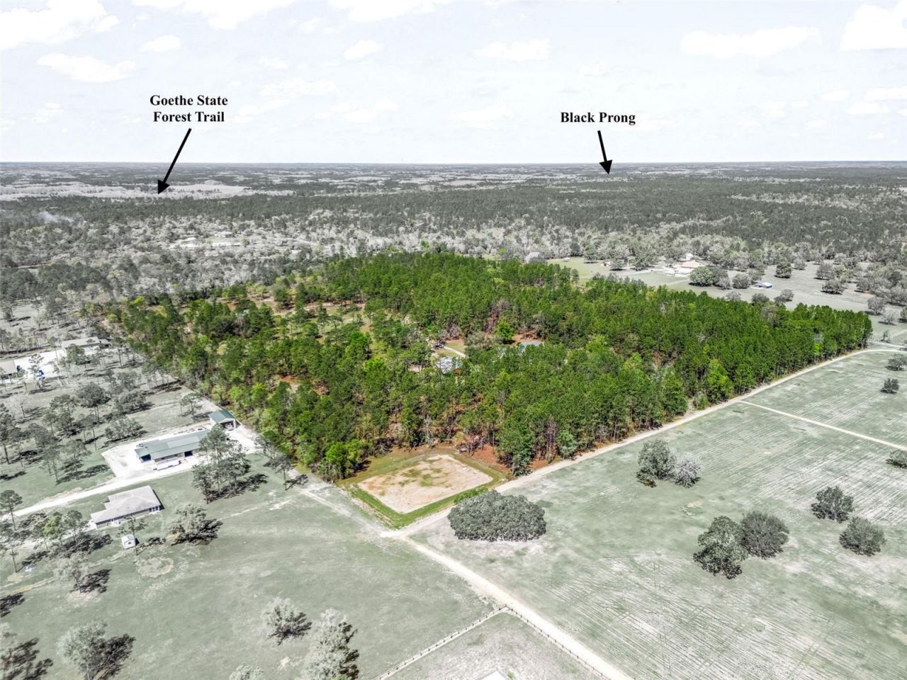 11370 SE 12th Lane, Morriston, FL 32668 Photo