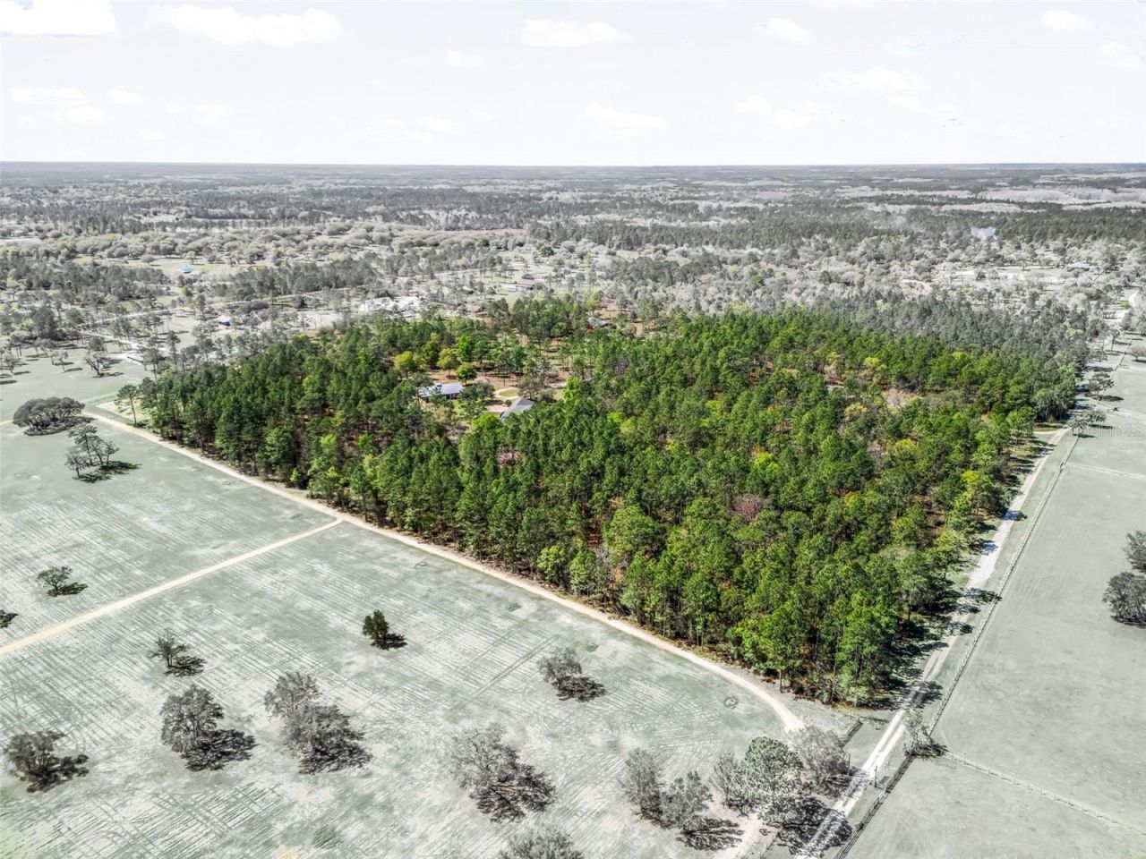 11370 SE 12th Lane, Morriston, FL 32668 Photo