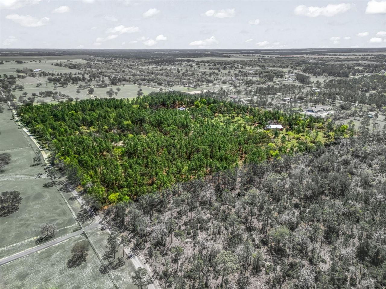 11370 SE 12th Lane, Morriston, FL 32668 Photo