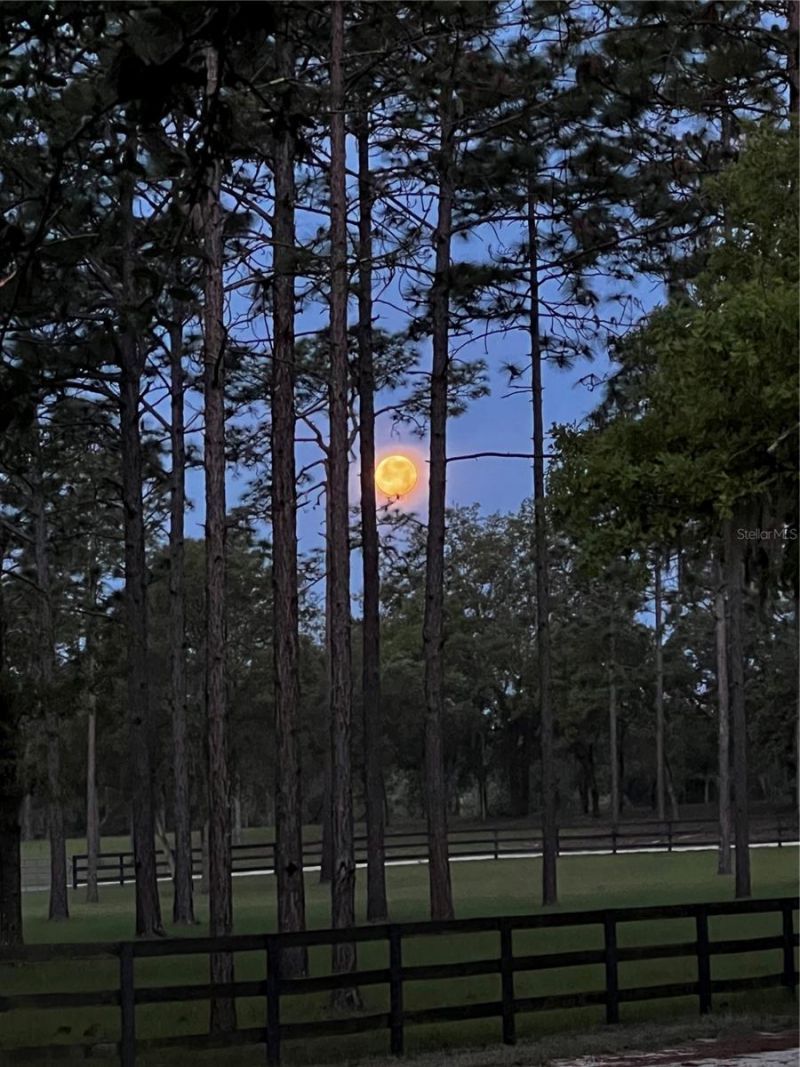 11370 SE 12th Lane, Morriston, FL 32668 Photo