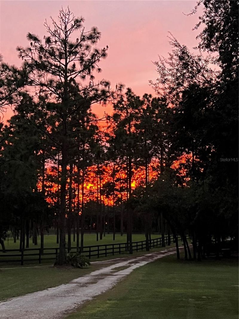 11370 SE 12th Lane, Morriston, FL 32668 Photo