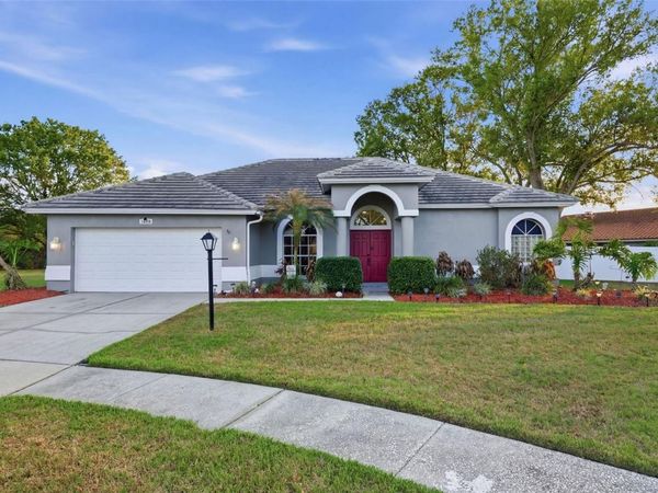 18302 SAINT JAMES COURT , TAMPA, FL 33647