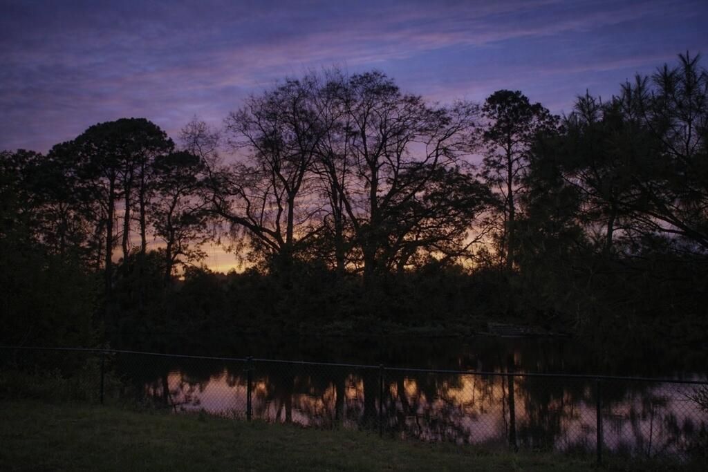 935 Portabella Lane Photo 11