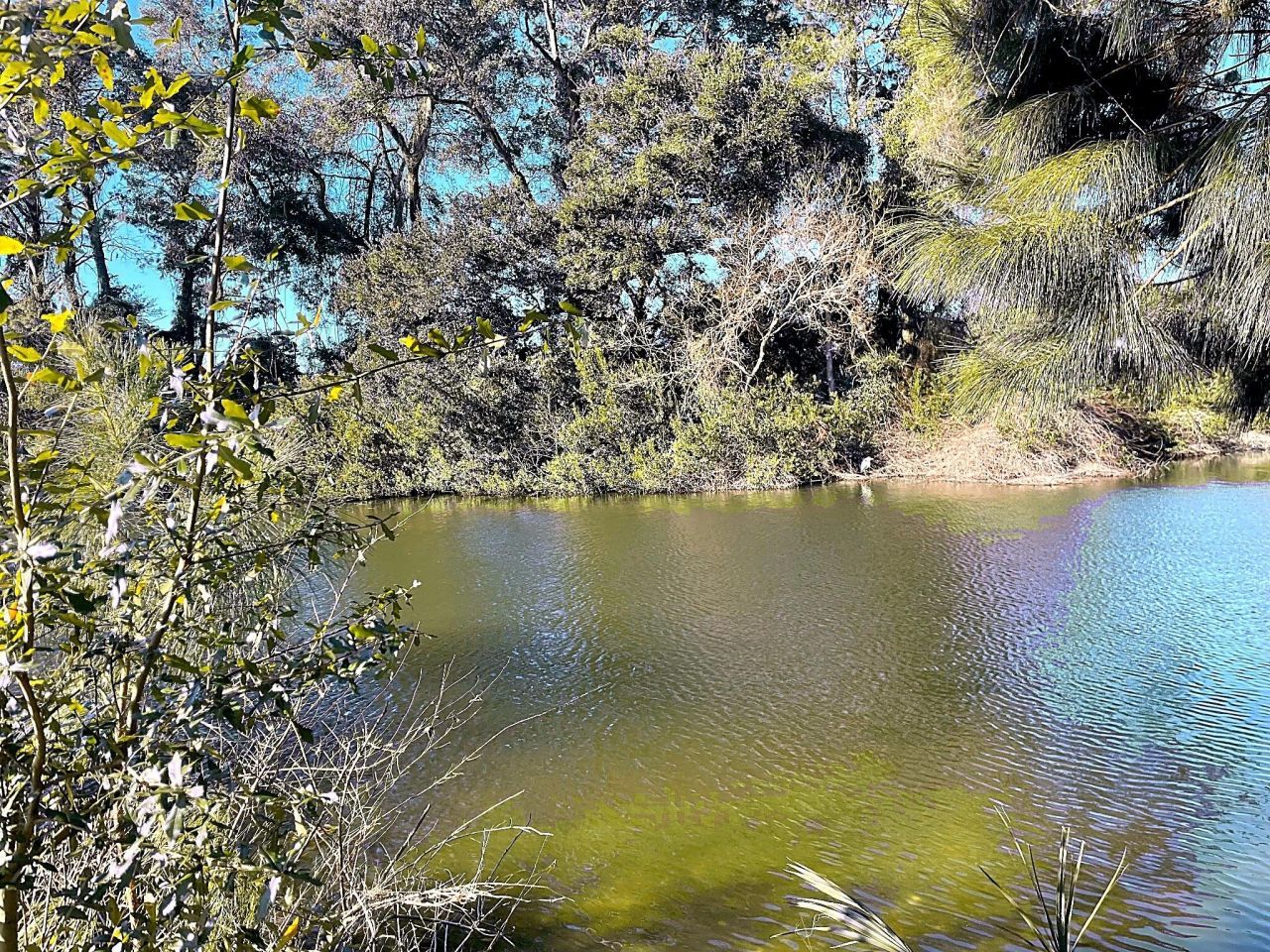 935 Portabella Lane Photo 7