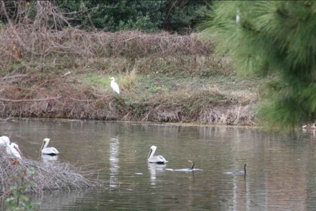 935 Portabella Lane Photo 8