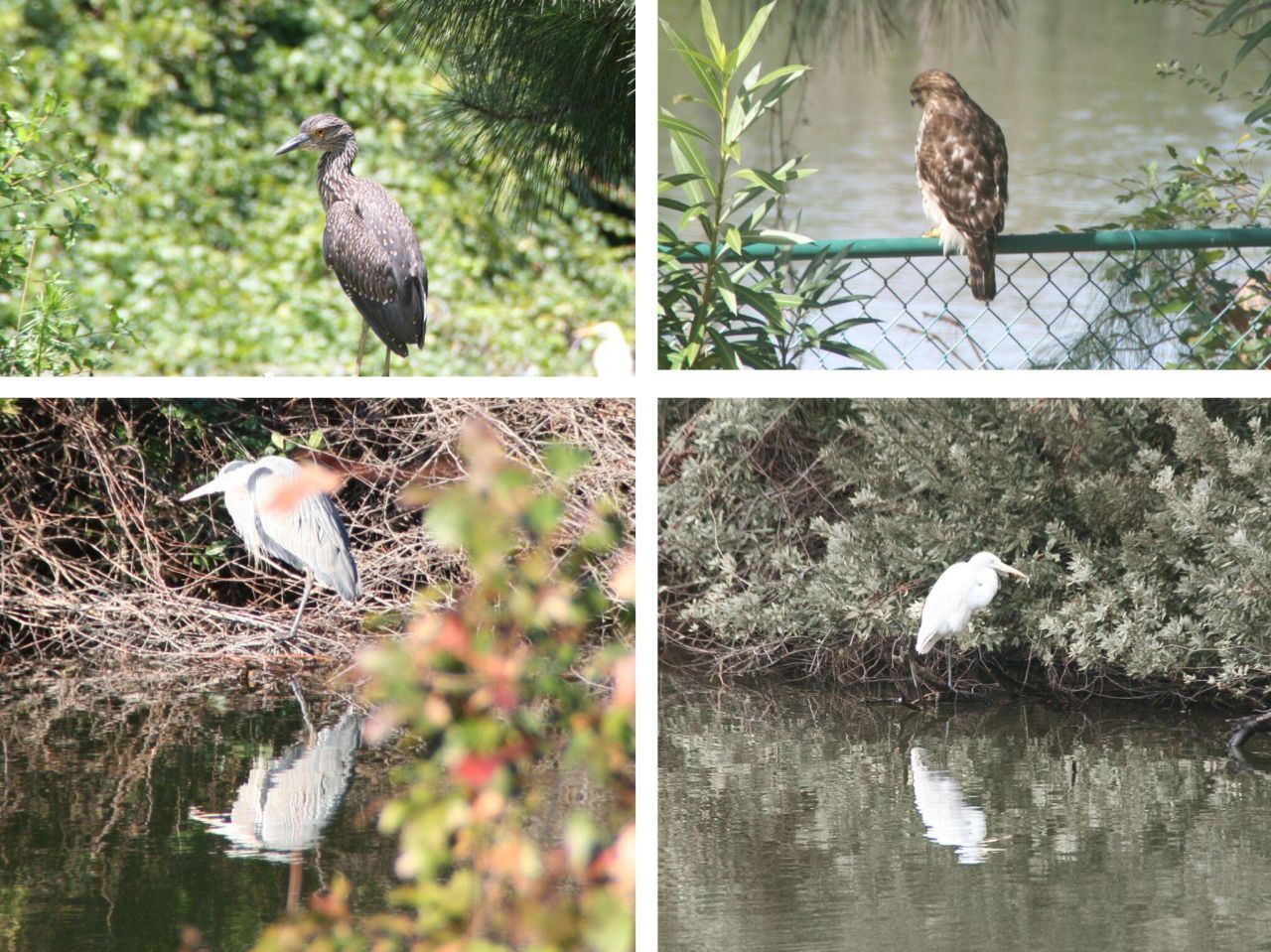 935 Portabella Lane Photo 9