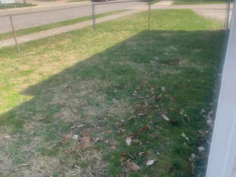 980 Fairwood Avenue , Columbus, OH 43206 Photo 6