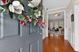 1881 Palmetto Isle Drive photo 4