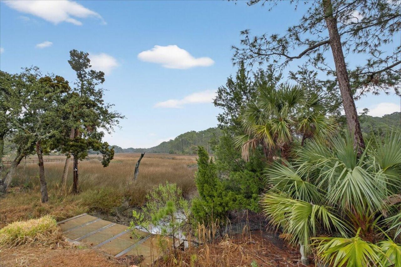 1881 Palmetto Isle Drive Photo 37