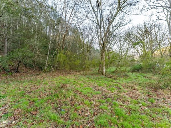 Bogard Rd, Cosby, TN 37722