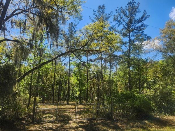 6549 Fruit Avenue, Bunnell, FL 32110