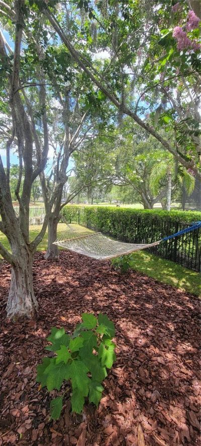 5201 Silverado Way , Valrico, FL 33596 Photo