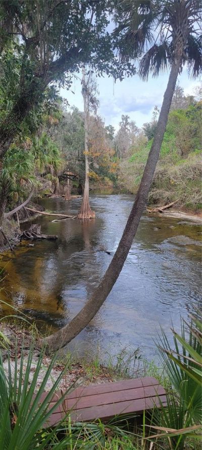 5201 Silverado Way , Valrico, FL 33596 Photo