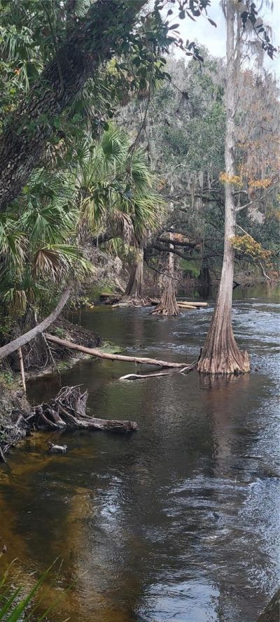 5201 Silverado Way , Valrico, FL 33596 Photo